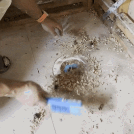 gif2 (2)