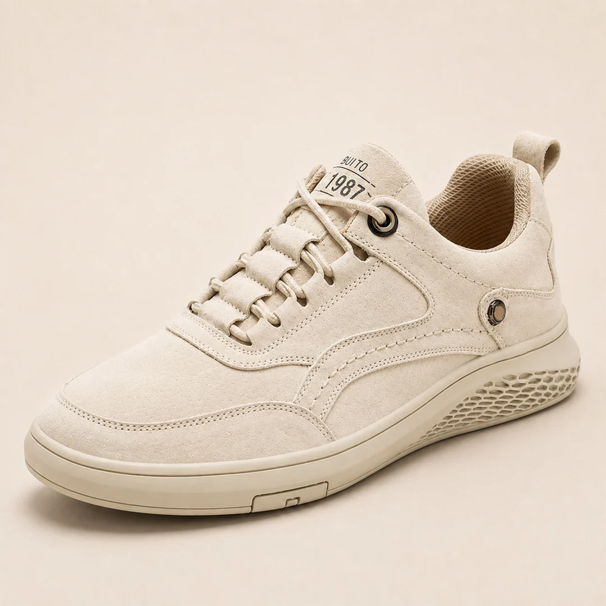 suede shoe (2)